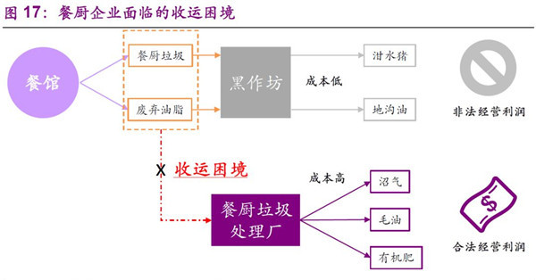 0618生活垃圾投放图17_副本.jpg